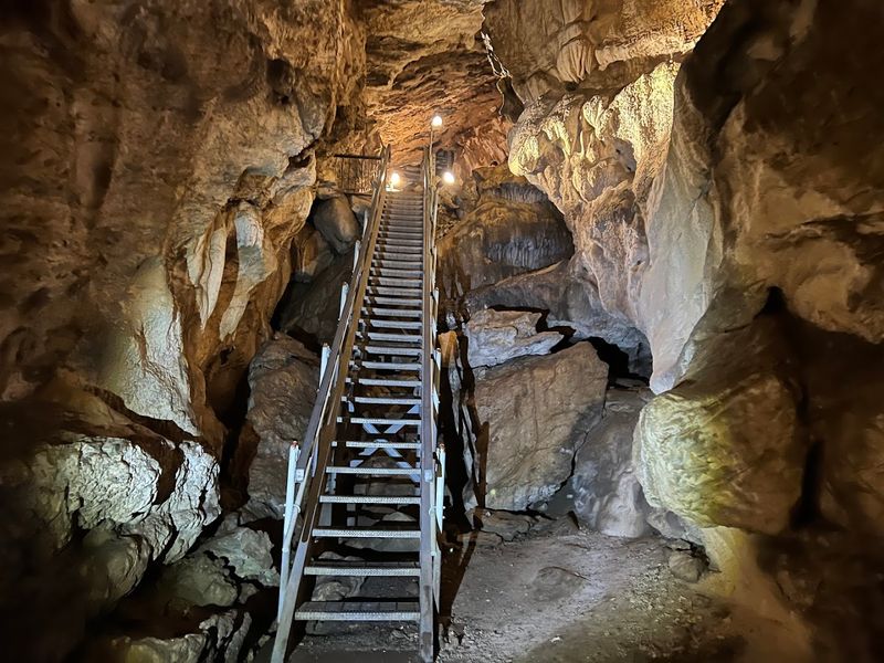 The Wildlife That Calls The Cave Home