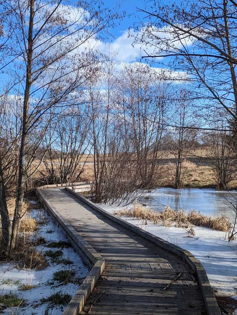 Planning Your Visit To Viles Arboretum
