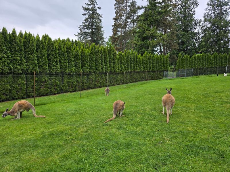 Planning Your Visit: What You Need to Know