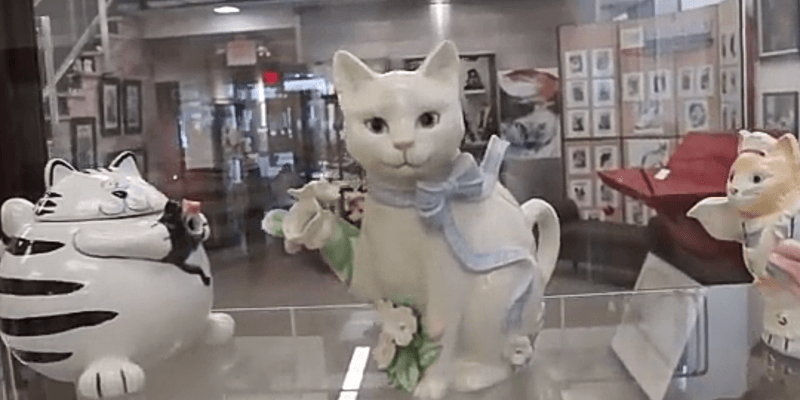 Why Cat Lovers Should Make the Trip