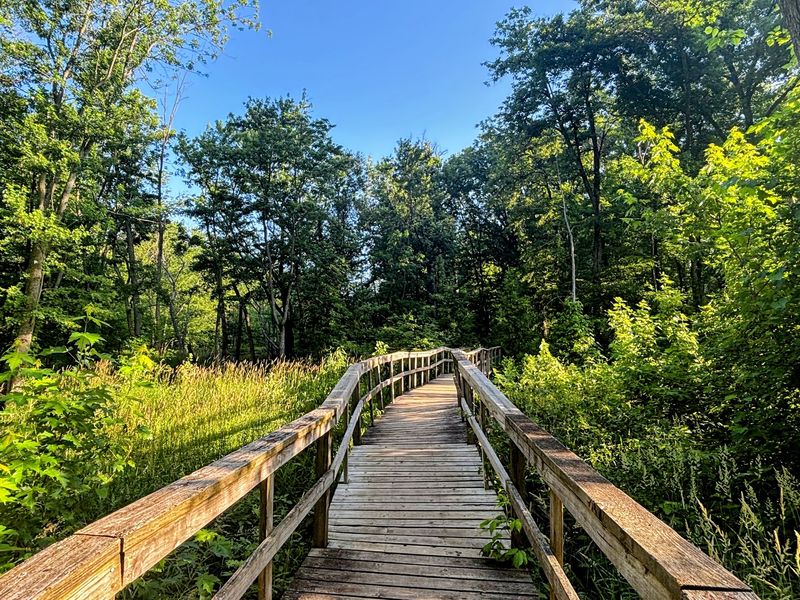 Planning Your Visit and a Few Friendly Tips