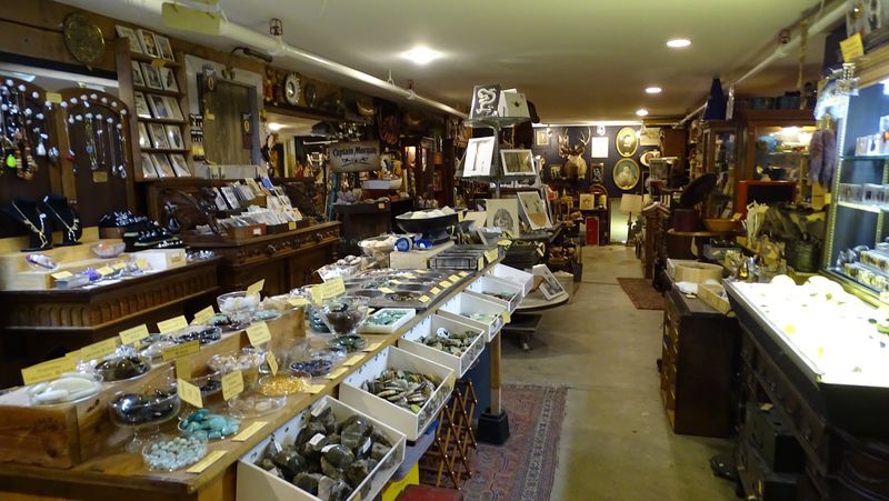 Planning Your Visit to Ballyhoo