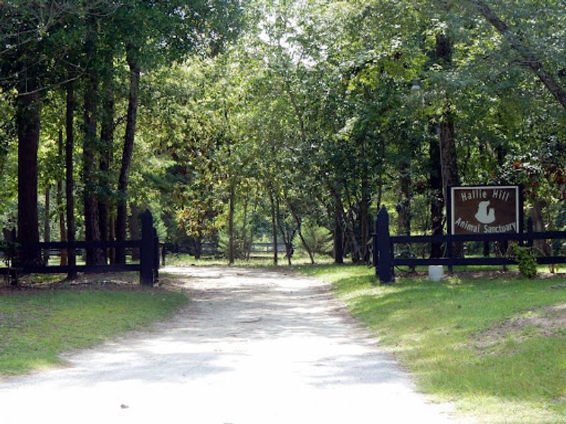 Planning Your Visit to This Lowcountry Paradise