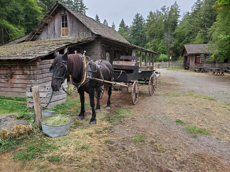 Planning Your Visit to the Ohop Valley Farm Planning Your Visit to the Ohop Valley Farm