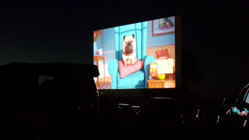Planning Your Weekend At The Drive-In Planning Your Weekend At The Drive-In
