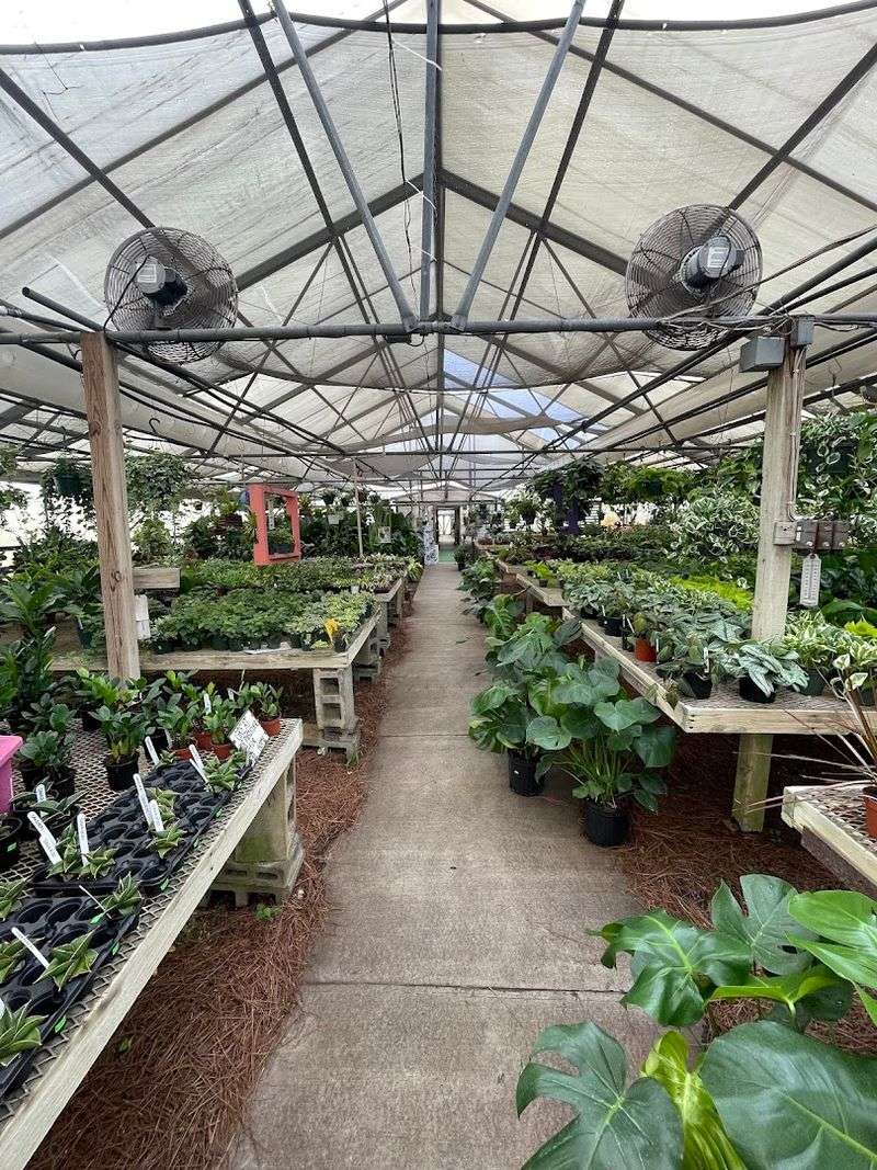 Why This Place Keeps North Carolinians Coming Back Every Season