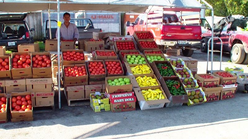 Plant City Farm and Flea Market, Plant City Plant City Farm and Flea Market, Plant City
