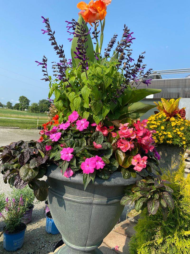 Plant Nerds, Your Unusual Finds Are Waiting Plant Nerds, Your Unusual Finds Are Waiting