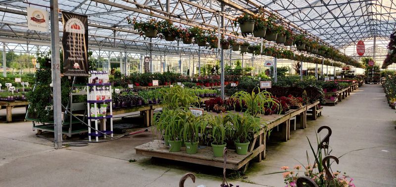 Plant Quality That Proves Itself Over Time