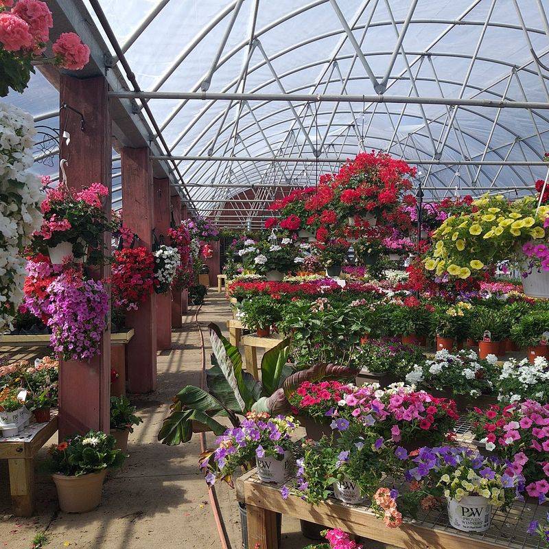 Plant Selection That Truly Lives Up To The Name