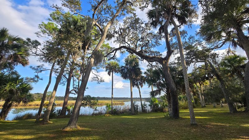 Historic Tools and Household Artifacts Display