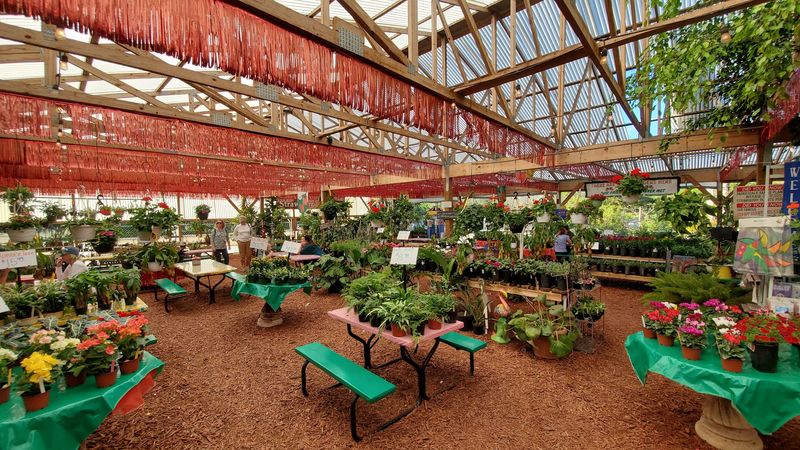 Plants And Garden Treasures For Green Thumbs Plants And Garden Treasures For Green Thumbs