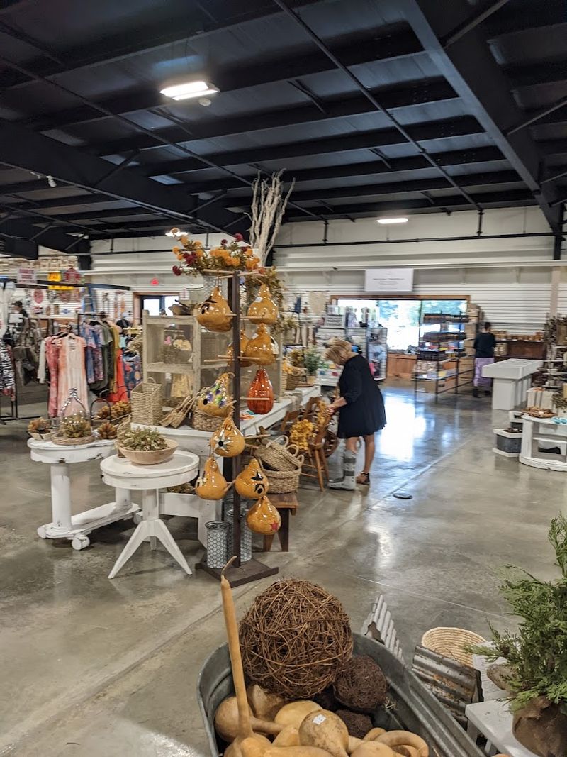 Practical Tips for Getting the Most Out of Your Visit