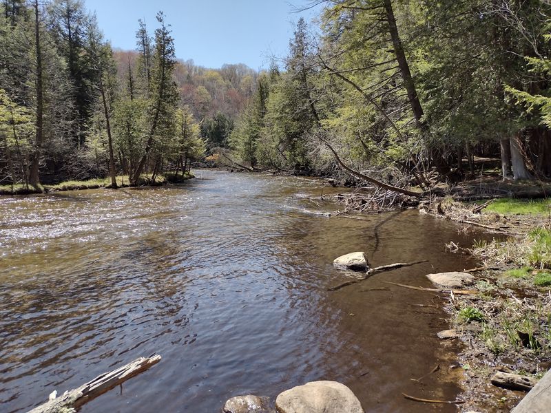 Platte River State Forest Campground - Honor Platte River State Forest Campground - Honor