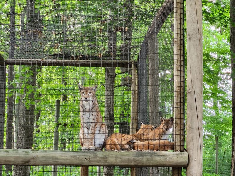 Detail Spotlight, Care In Motion