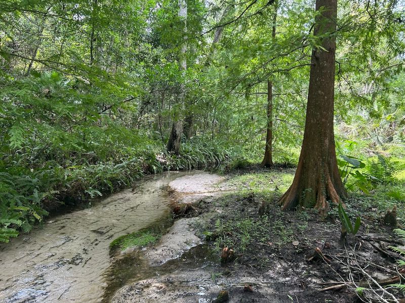 Year-Round Beauty That Changes With Each Season