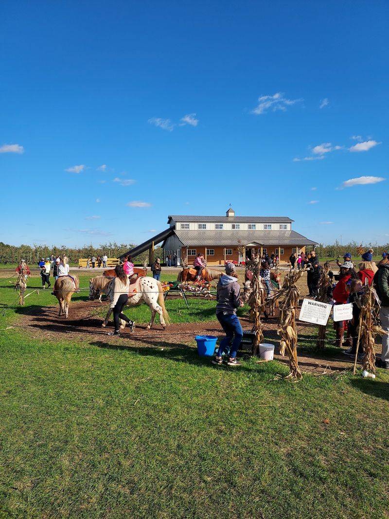 Playgrounds, Petting Zoo, And Family Fun For Every Age Playgrounds, Petting Zoo, And Family Fun For Every Age