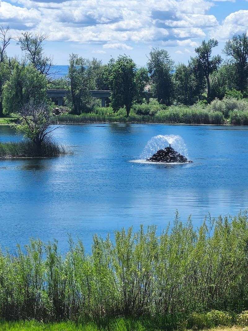 Plesi The Pond Dinosaur And The Fishing Spot Plesi The Pond Dinosaur And The Fishing Spot