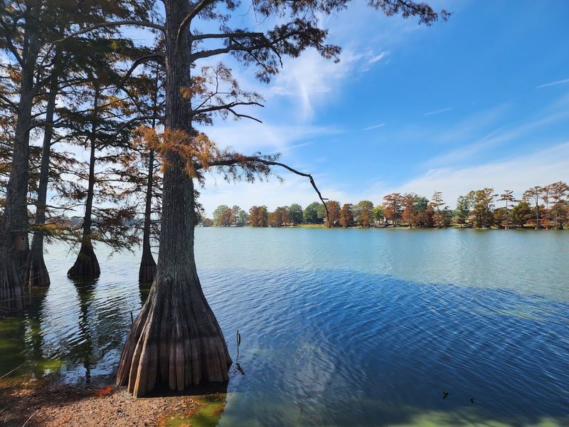Plum Bayou Trail, Scott Plum Bayou Trail, Scott