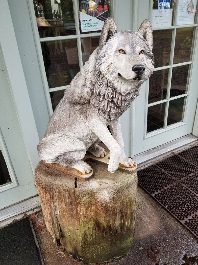 Plushies, Hoodies, and Wolf Memorabilia