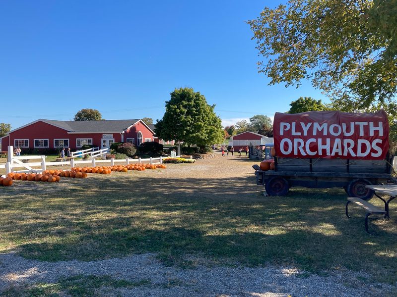 Plymouth Orchards & Cider Mill Plymouth Orchards & Cider Mill