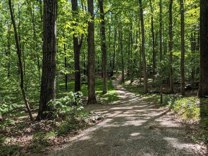 Pocahontas State Park