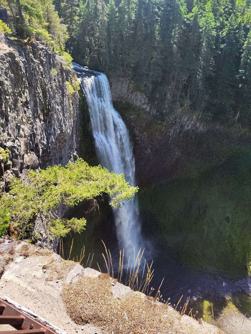 Salt Creek Falls and Diamond Creek Falls Loop - near Oakridge