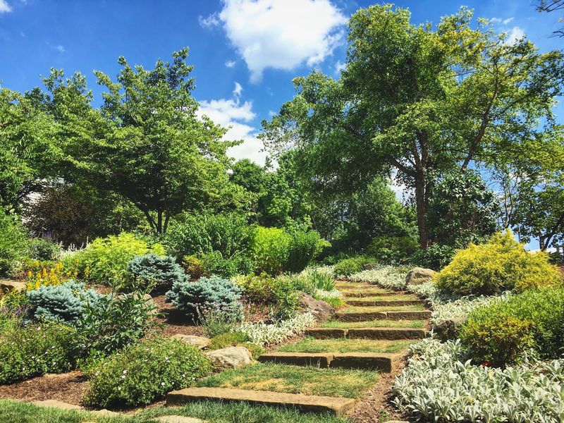 Pocket Gardens Worth A Pause