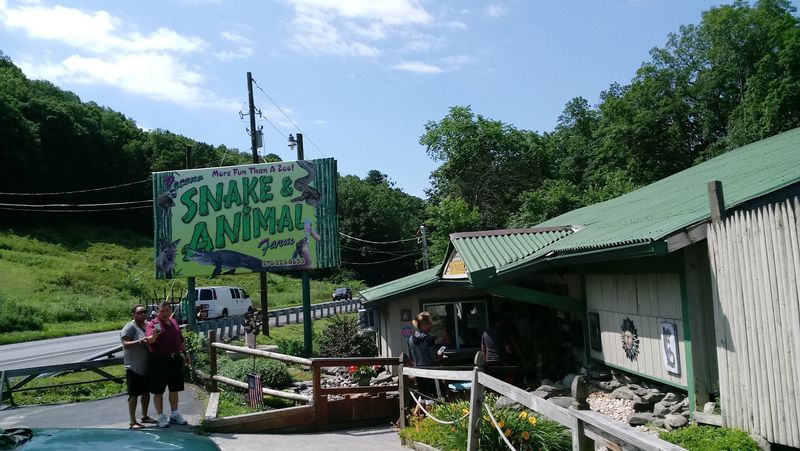 Pocono Snake And Animal Farm, East Stroudsburg, Pennsylvania