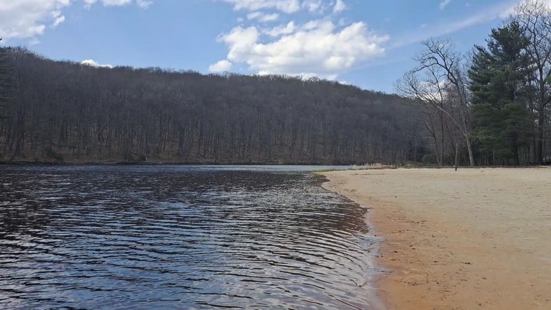 Black Moshannon State Park