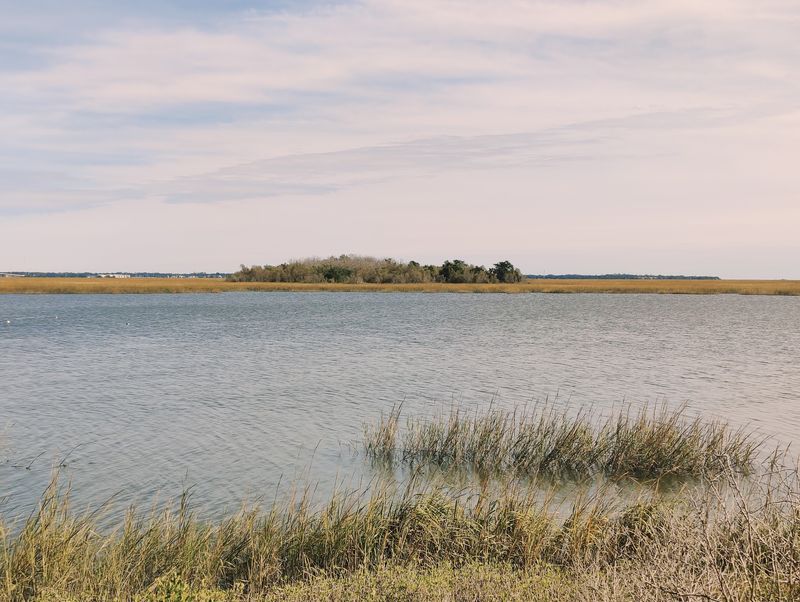 Poetry-Worthy Marshes Wrap Around The Whole Town
