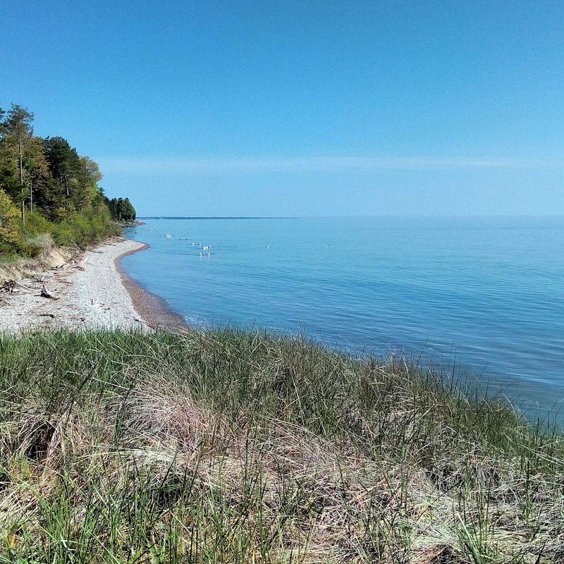 Point Beach State Forest