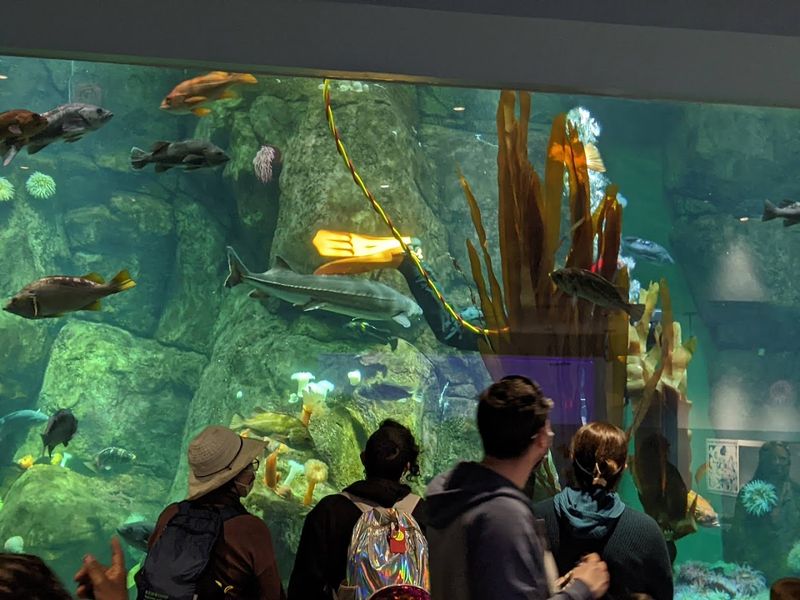 Point Defiance Zoo And Aquarium, Tacoma