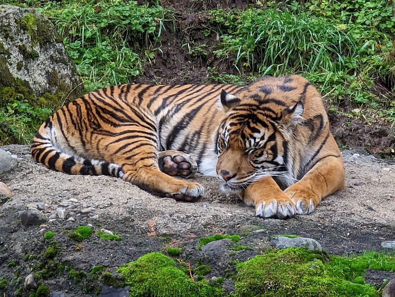 Point Defiance Zoo & Aquarium, Tacoma, WA