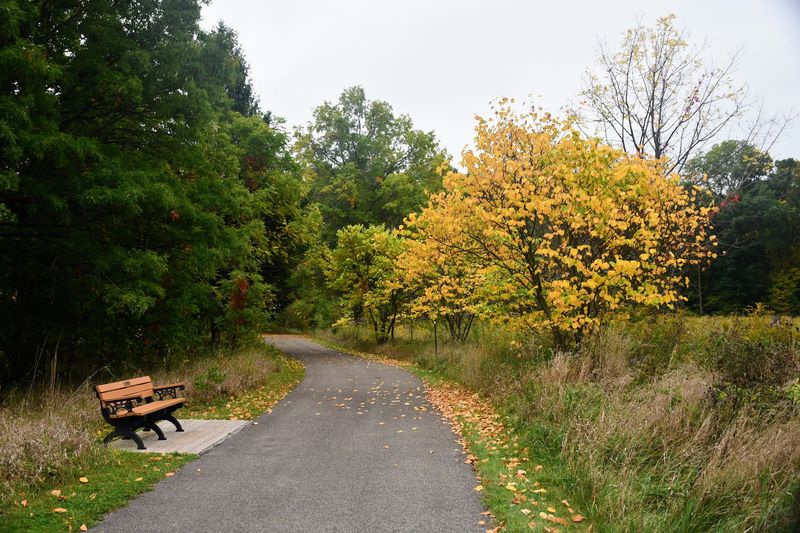 Pokagon State Park