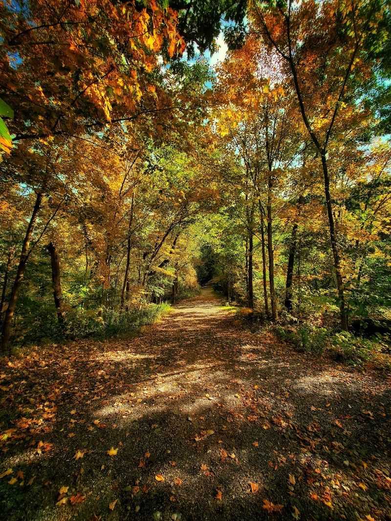 Appalachian Trail to Mount Minsi, Delaware Water Gap