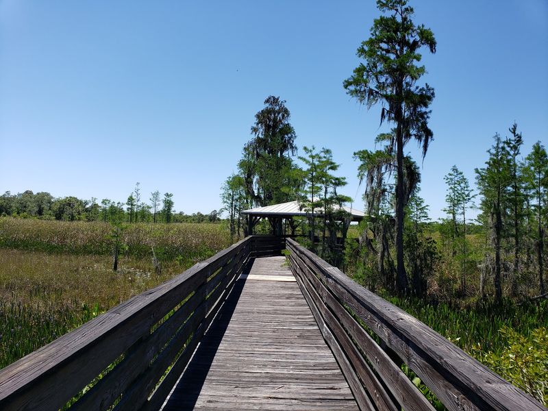 Polk County's Biggest Wild Space Is Waiting For Your Boots