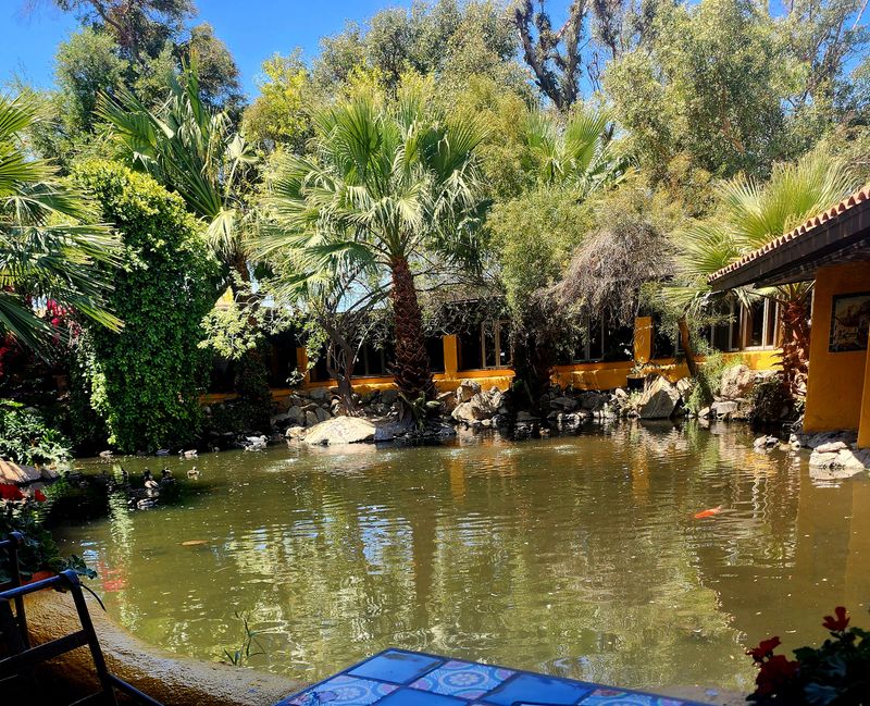 Fresh Guacamole Made To Order