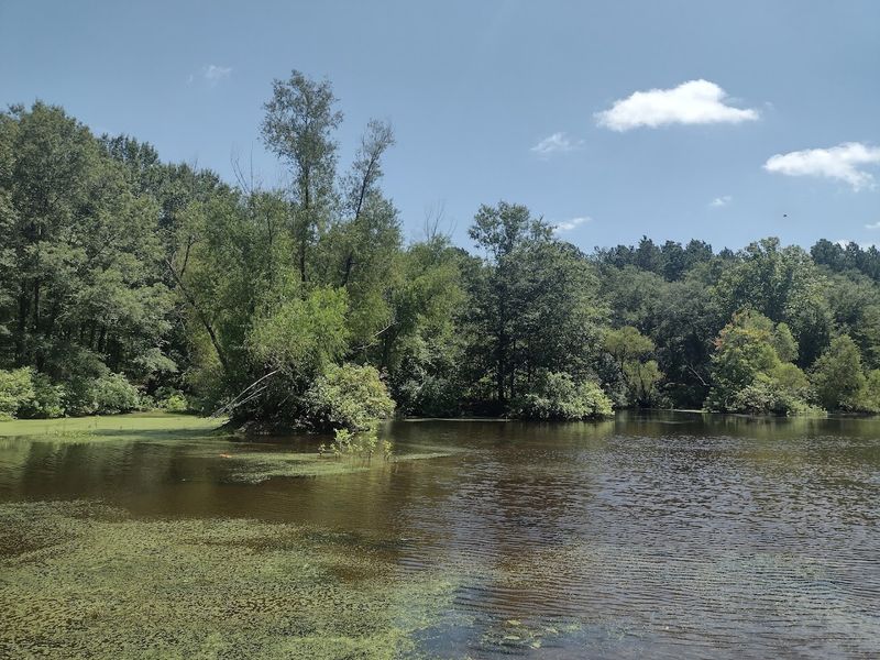 Pond Creek National Wildlife Refuge, Lockesburg