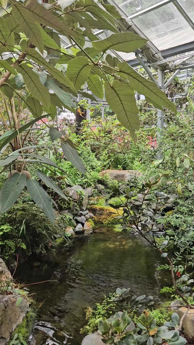 Ponds, Ferns, And A Whimsical Stumpery