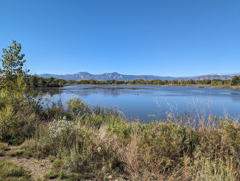 Ponds, Fishing Areas, And The Art Of Not Overplanning