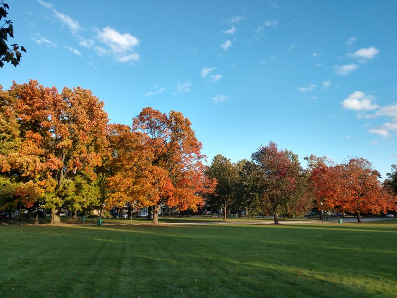 Bloomington-Normal (BNL) – Lively College Town Meets Mother Road History