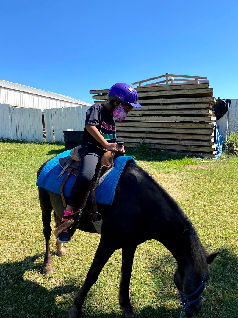 Pony Rides, Goats And Little Kid Adventures
