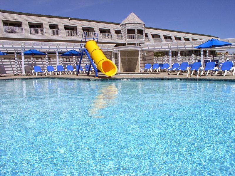 Pools For Every Kind Of Swimmer Pools For Every Kind Of Swimmer