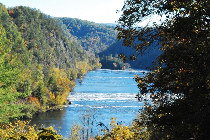 Cherokee National Forest Neighbor