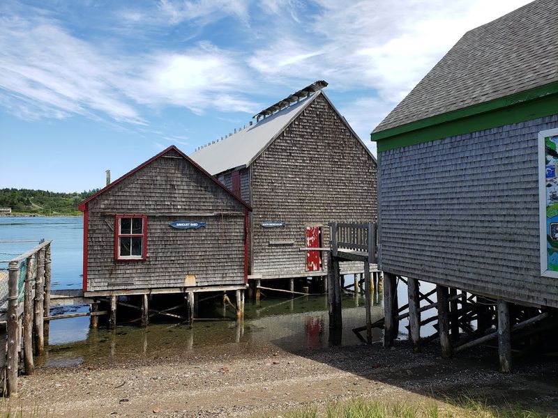 Sardine Canning History