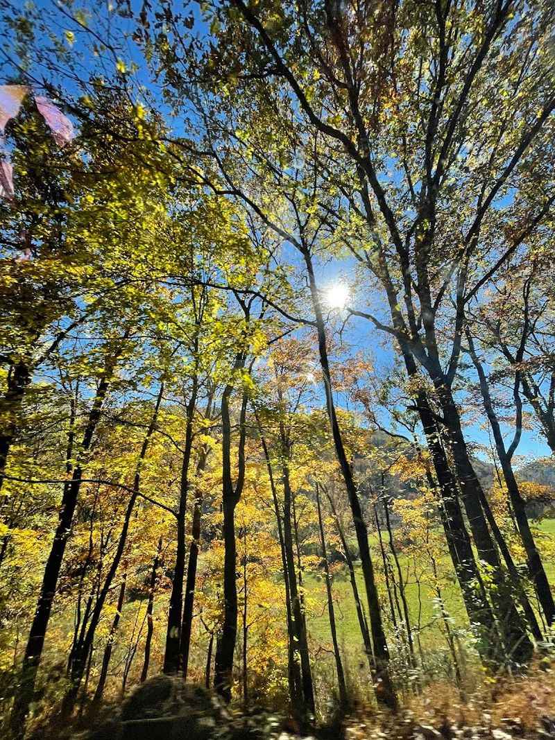 Scenic Mountain Backroads Beyond Downtown