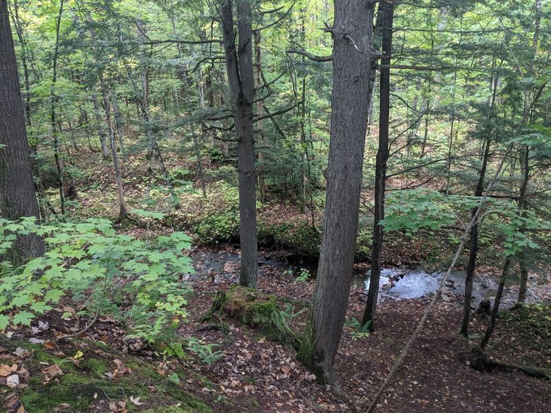 Porcupine Mountains Lost Creek Rustic Outpost Campground