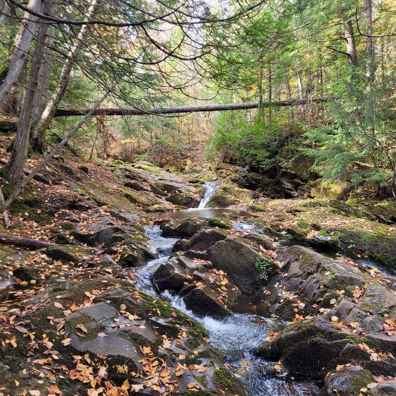 Porcupine Mountains Union Mine Trail