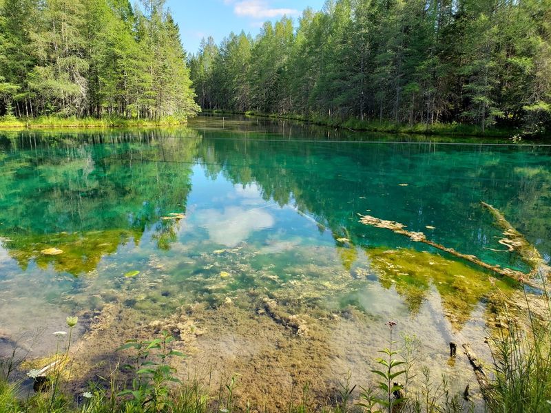 Kitch Iti Kipi At Palms Book State Park